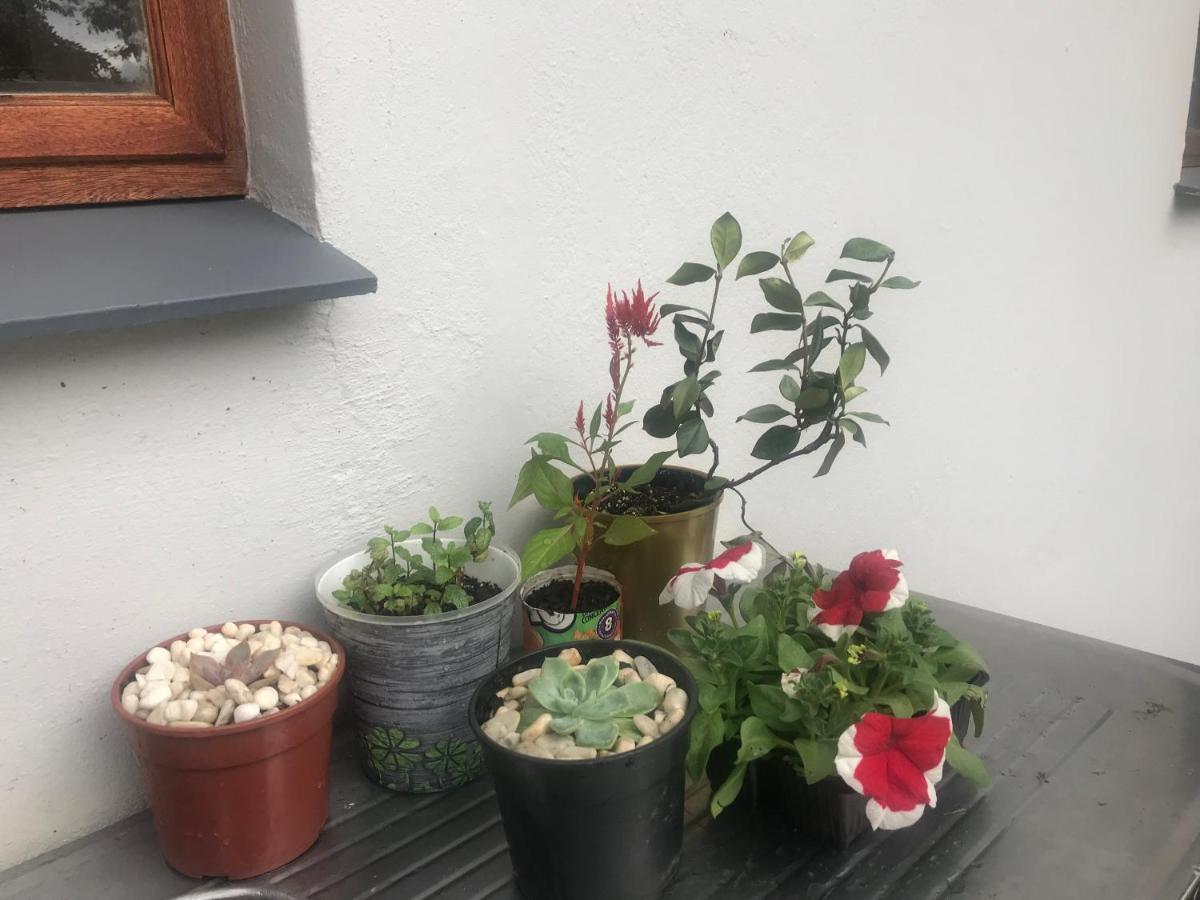 Bokamoso Views Bed & Breakfast Rustenburg Ngoại thất bức ảnh